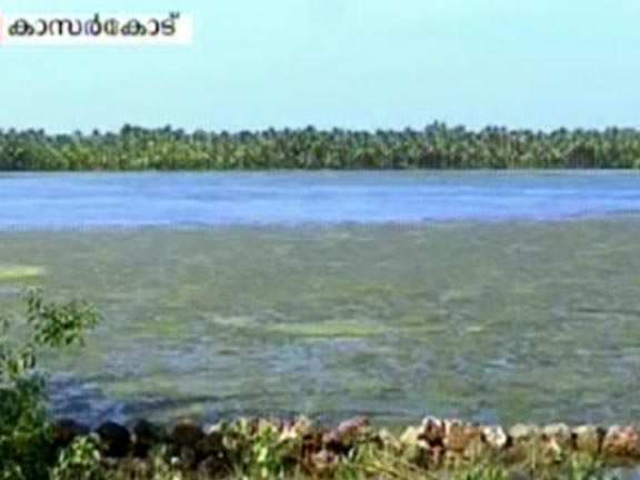 കവ്വായി കായല്‍ വീണ്ടും ചീഞ്ഞുനാറാൻ തുടങ്ങി 